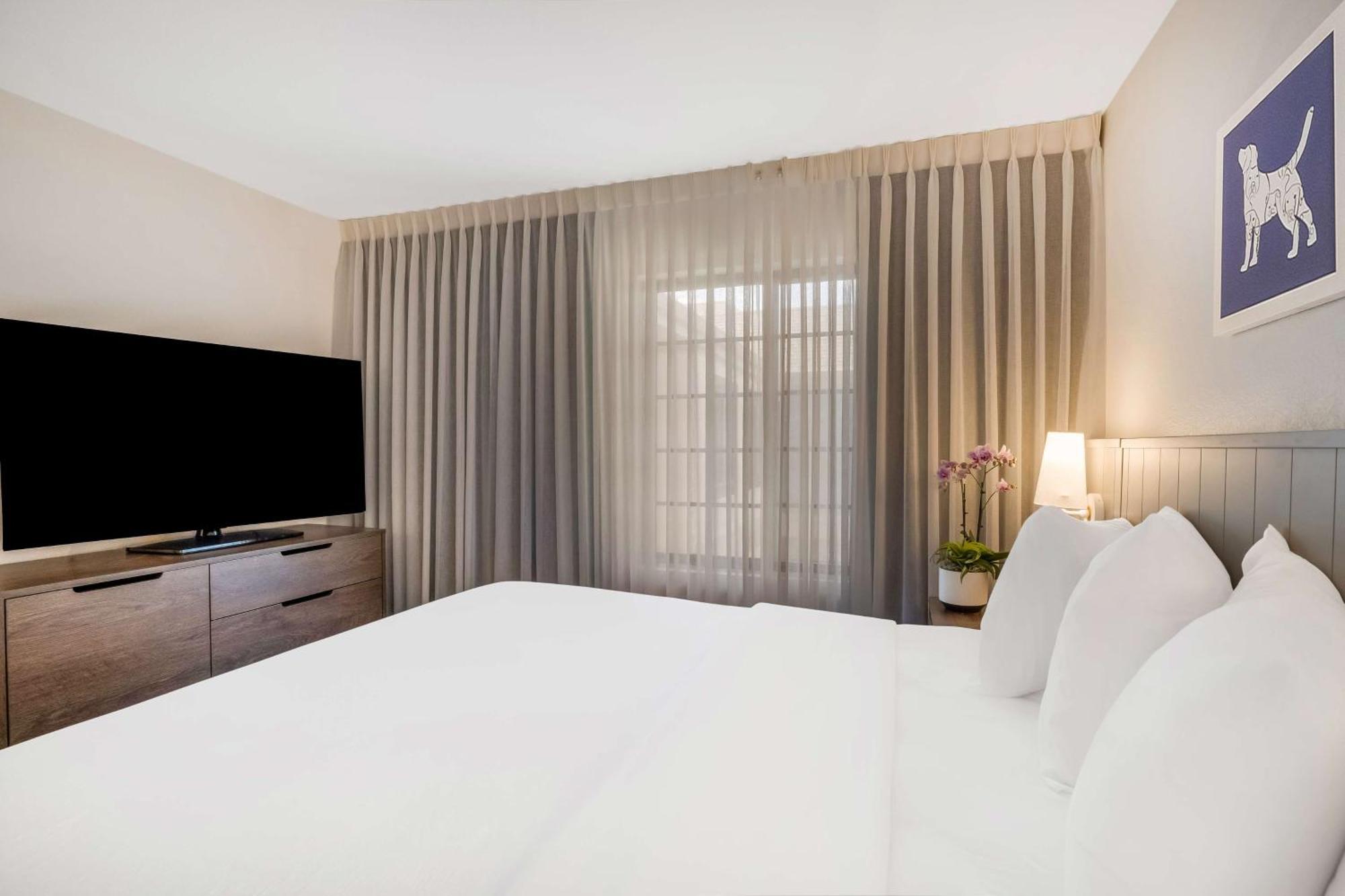 Sonesta Es Suites San Jose - Airport Buitenkant foto
